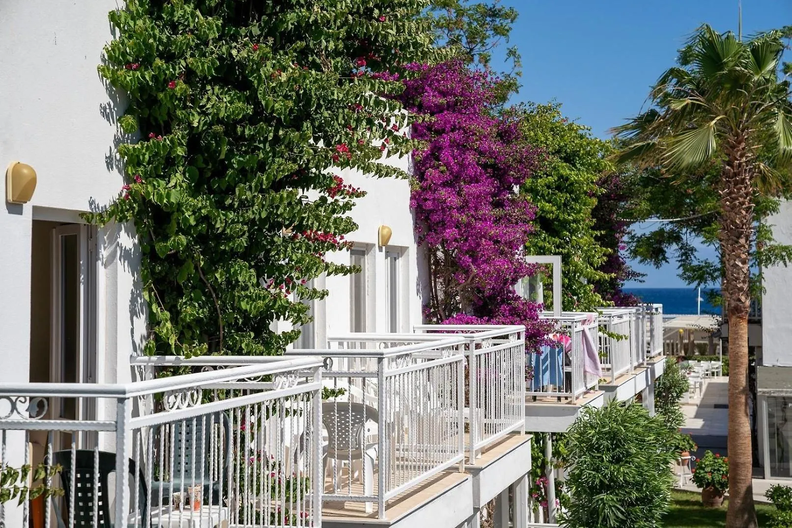 Petunya Beach Resort Ortakent
